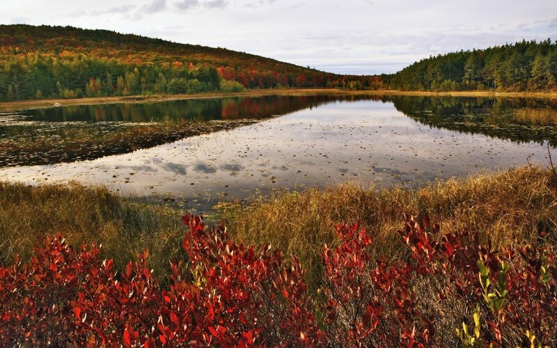 Autumn lake with colorful foliage