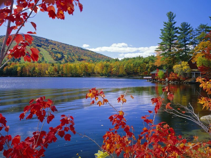 Autumn lake with colorful foliage