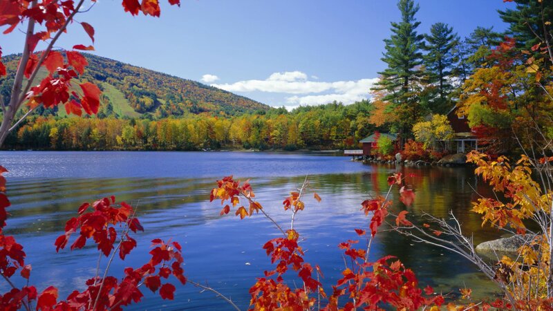 Autumn lake with colorful foliage