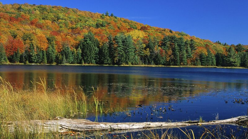 Autumn lake with colorful foliage