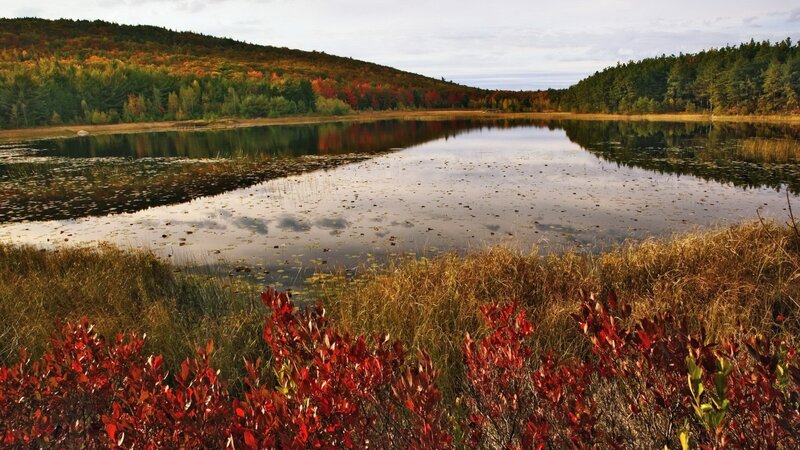 Autumn lake with colorful foliage
