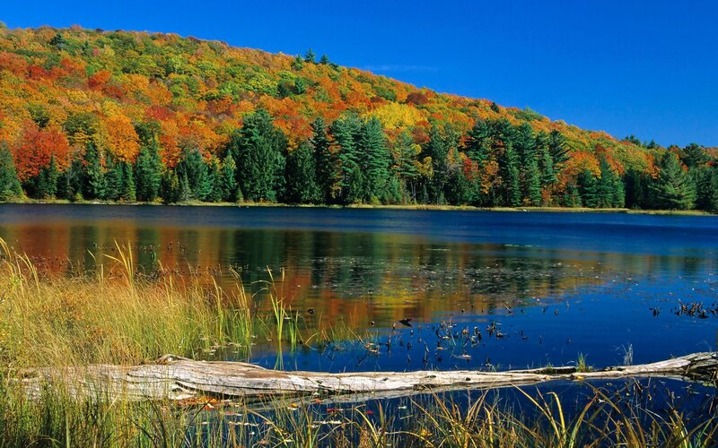Autumn lake with colorful foliage
