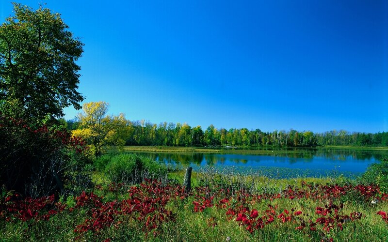 Autumn lake with colorful foliage