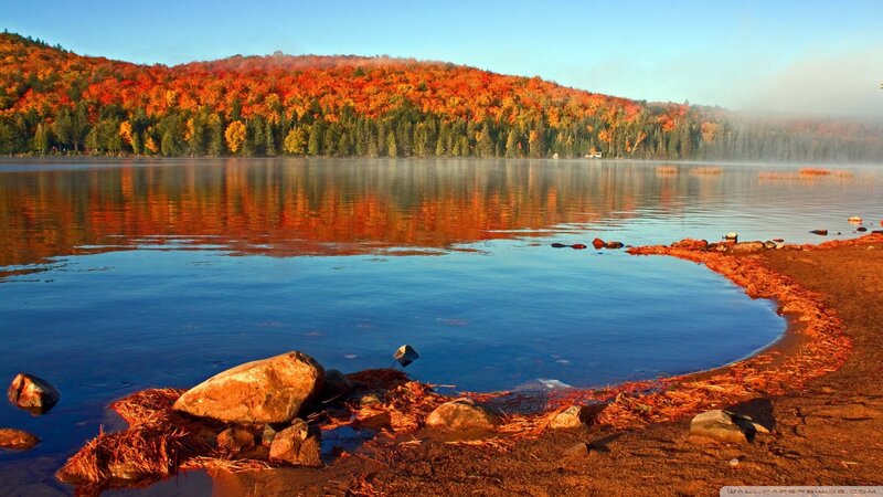 Autumn lake with colorful forest