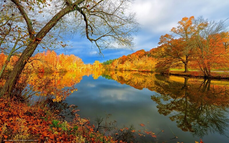 Autumn lake with colorful trees