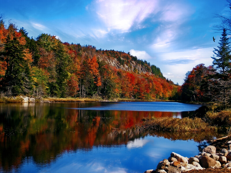 Autumn lake with colorful trees