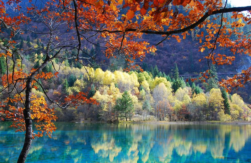 Autumn lake with colorful trees