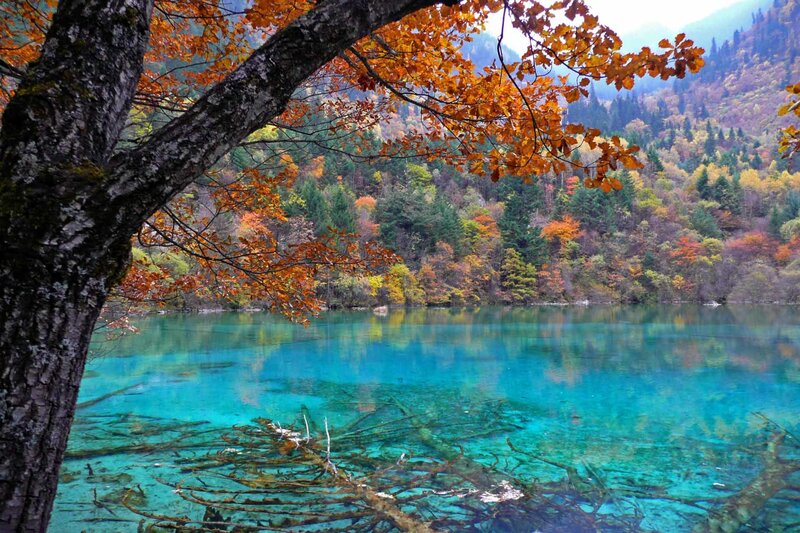 Autumn lake with colorful trees