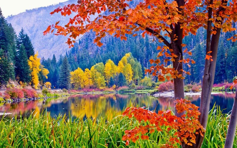 Autumn lake with colorful trees