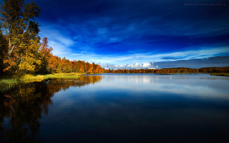 Autumn lake with colorful trees