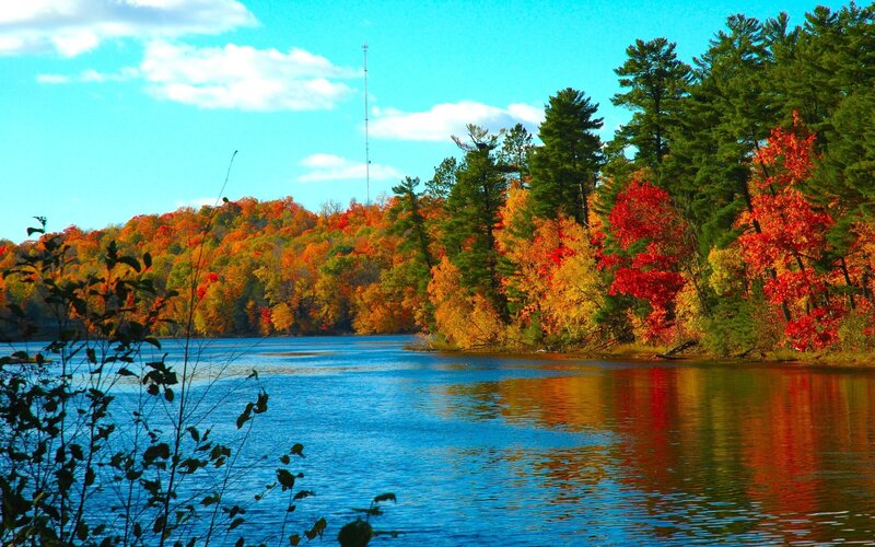 Autumn lake with colorful trees
