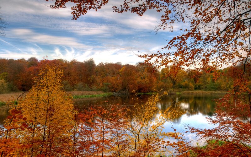 Autumn lake with colorful trees