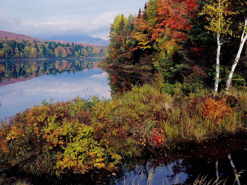 Autumn lake with colorful trees