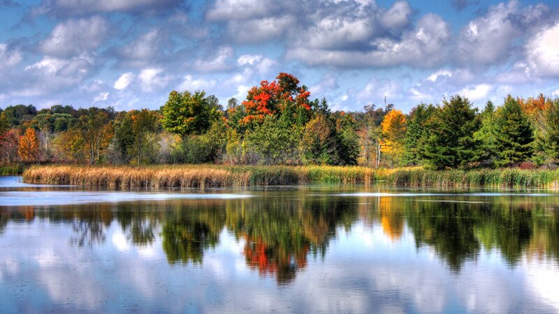 Autumn lake with colorful trees