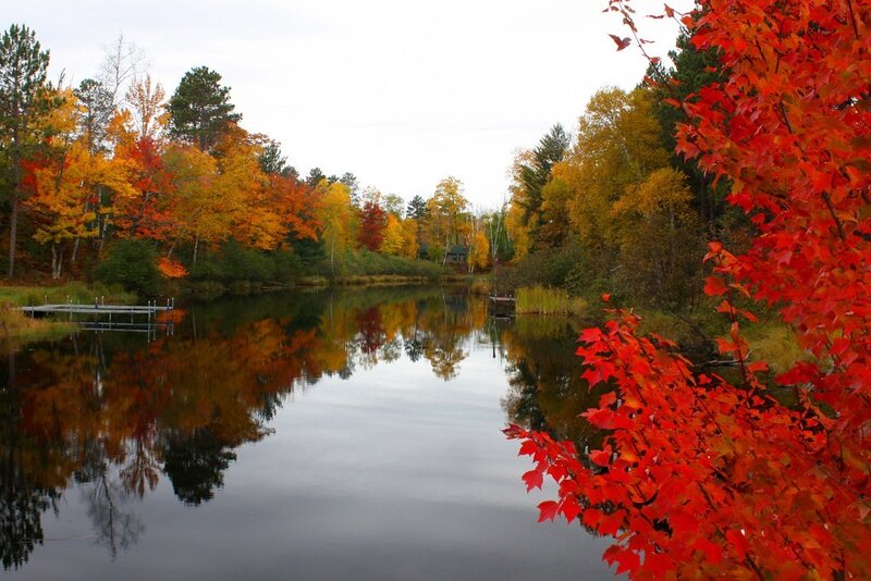 Autumn lake with colorful trees