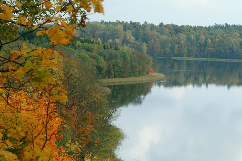 Autumn lake with colorful trees