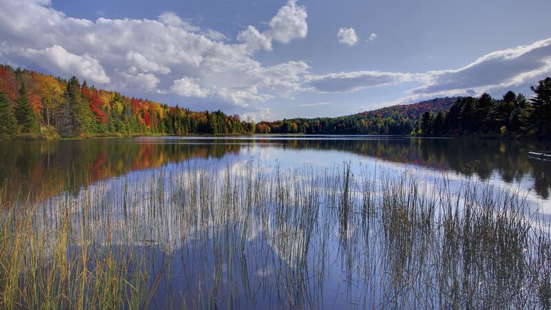 Autumn lake with colorful trees