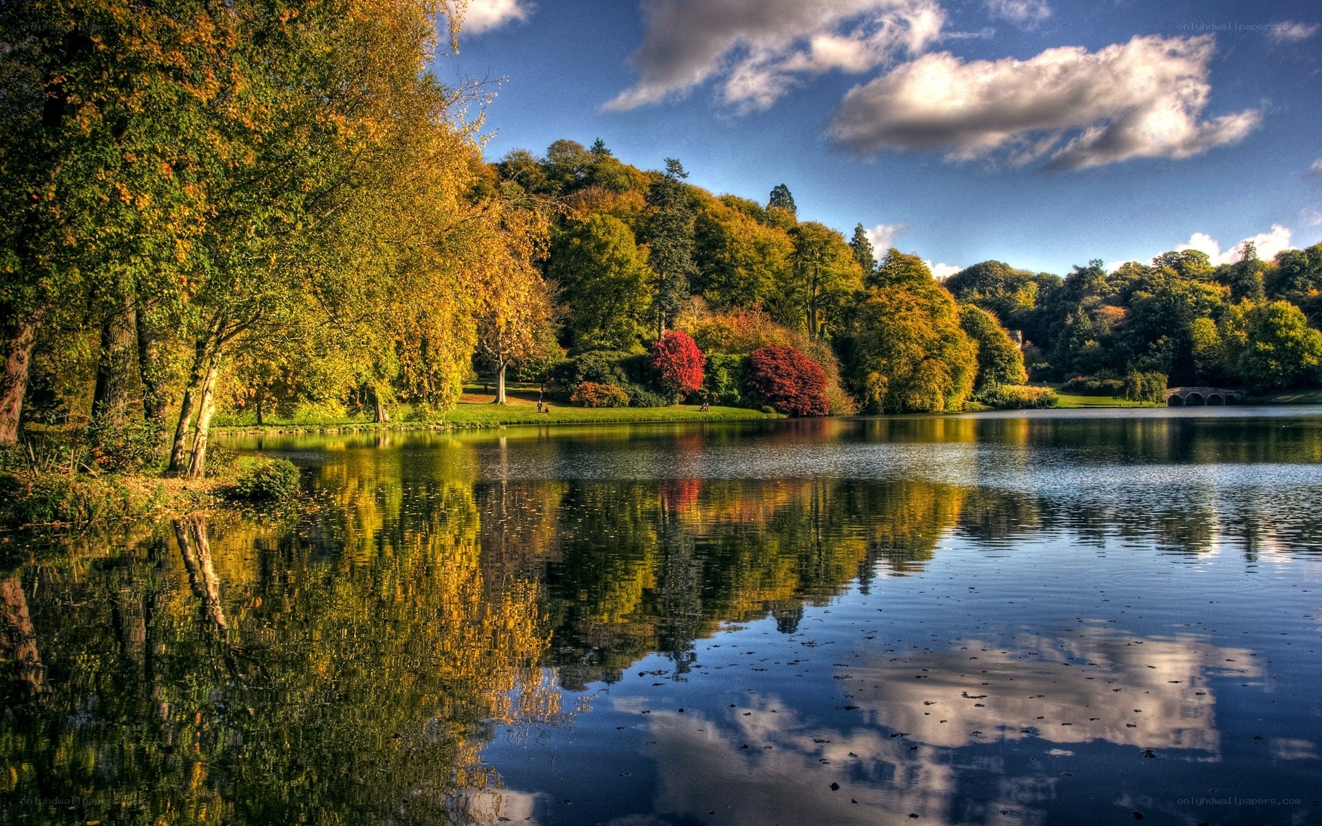 Autumn lake with colorful trees