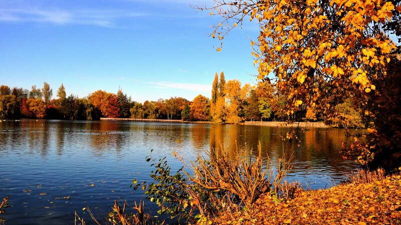 Autumn lake with colorful trees