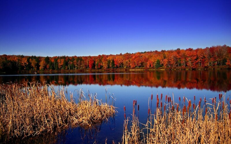 Autumn lake with colorful trees