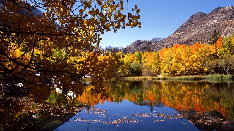 Autumn lake with colorful trees