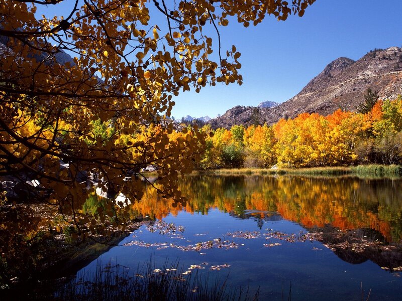 Autumn lake with colorful trees