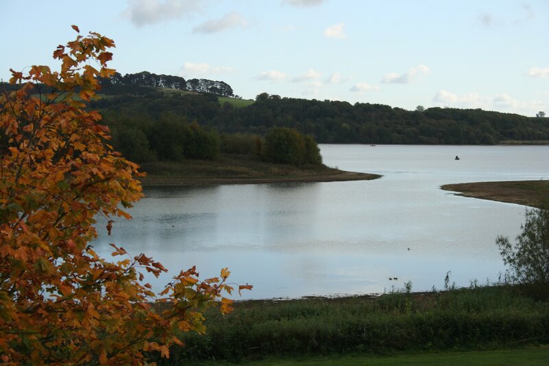 Autumn lake with colorful trees