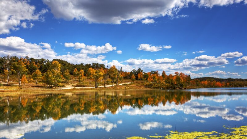 Autumn lake with colorful trees