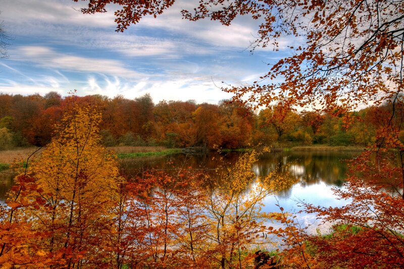 Autumn lake with colorful trees