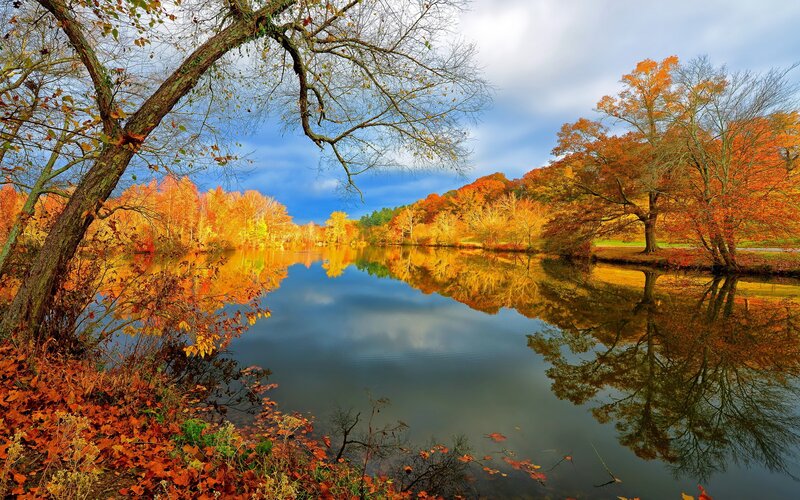 Autumn lake with colorful trees