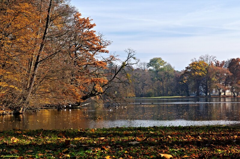 Autumn lake with colorful trees