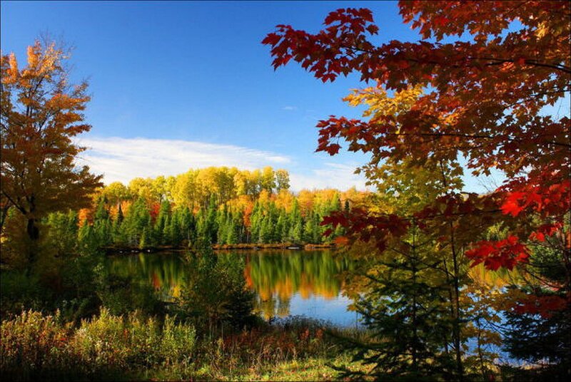 Autumn lake with colorful trees