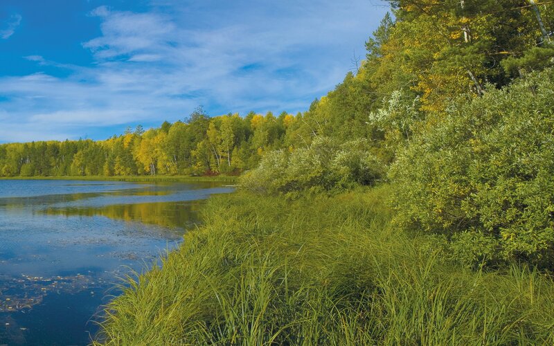 Autumn lake with colorful trees