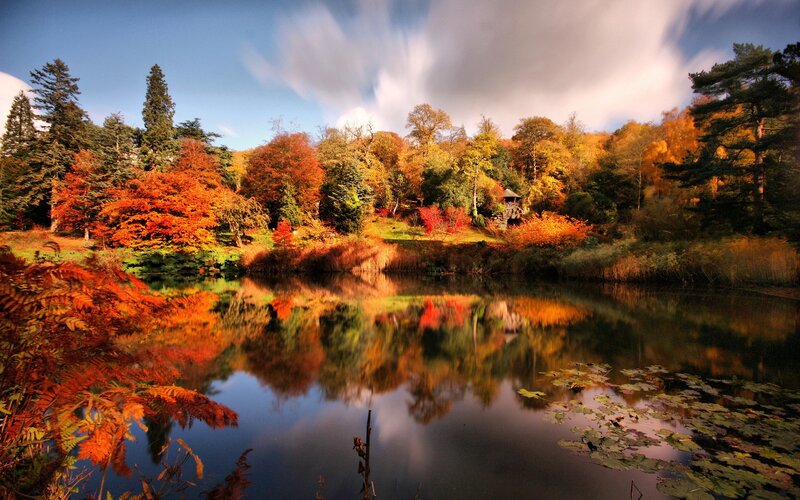 Autumn lake with colorful trees