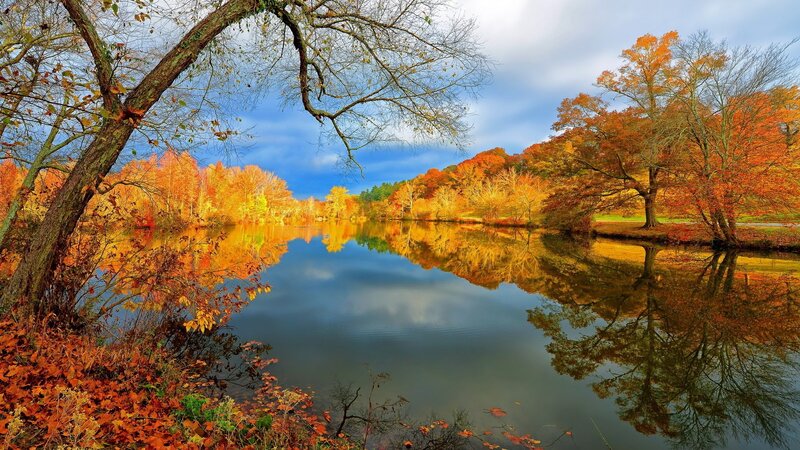 Autumn lake with colorful trees