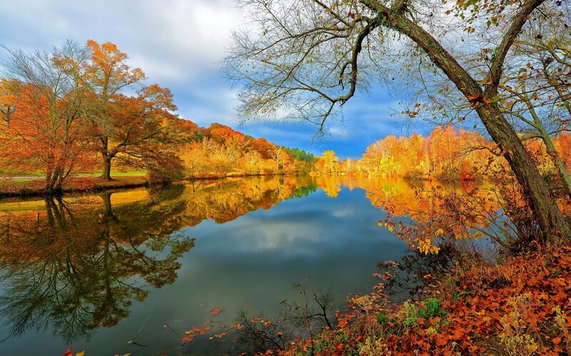 Autumn lake with colorful trees