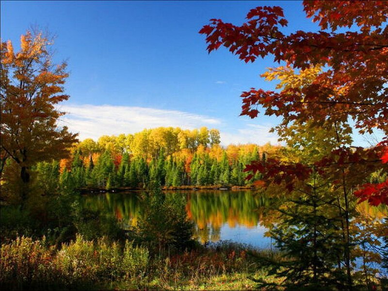 Autumn lake with colorful trees