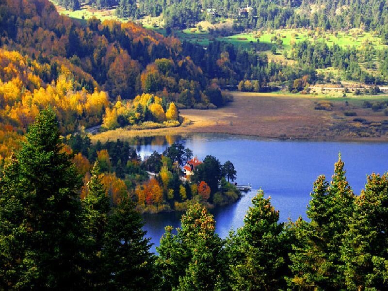Autumn lake with colorful trees
