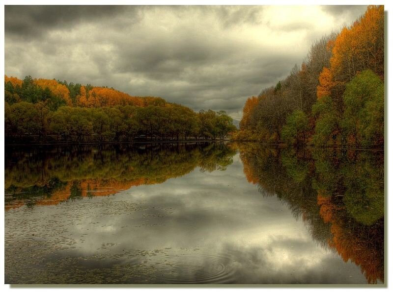 Autumn lake with colorful trees