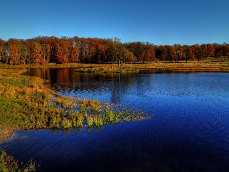 Autumn lake with colorful trees