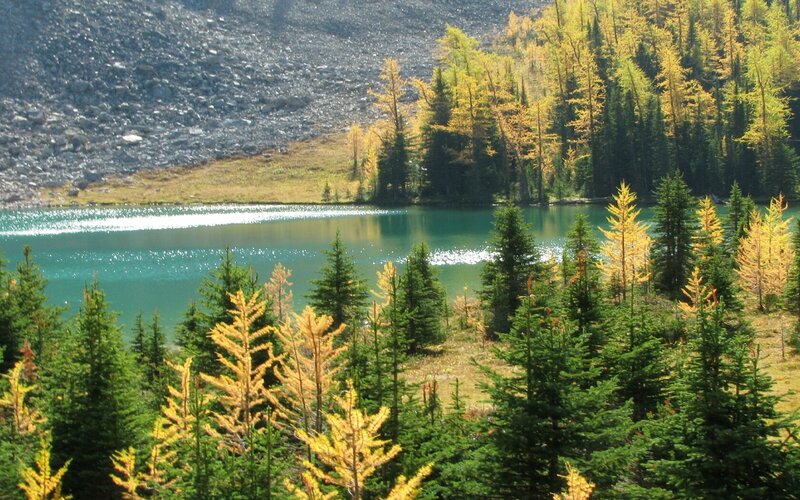 Autumn lake with colorful trees