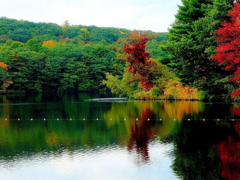 Autumn lake with colorful trees