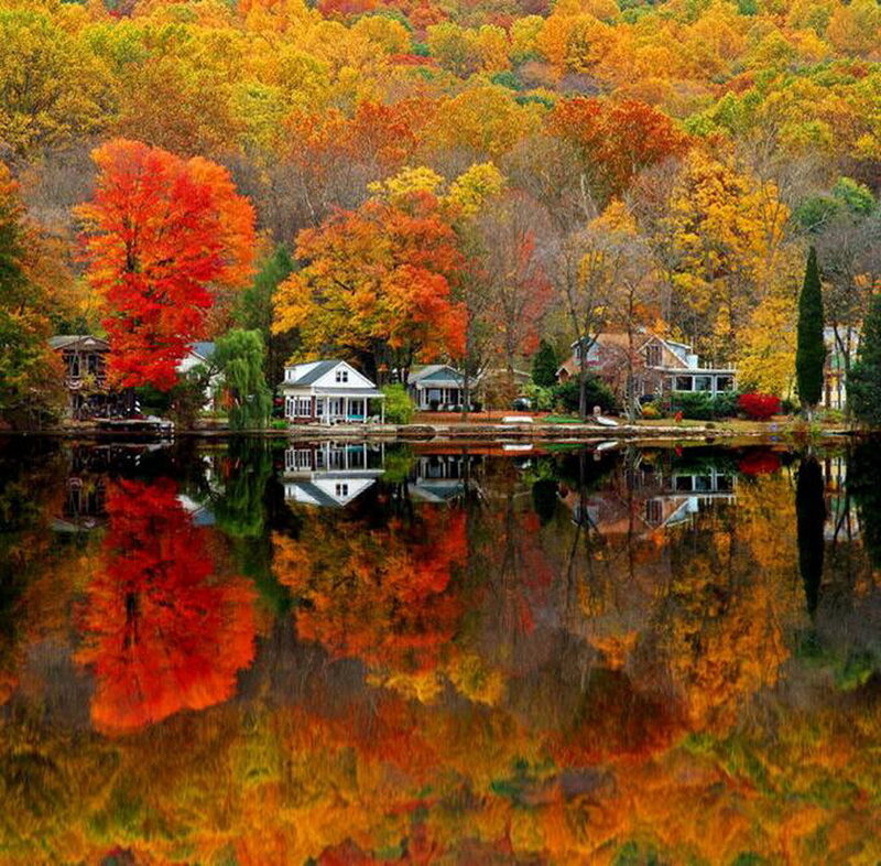 Autumn lake with colorful trees