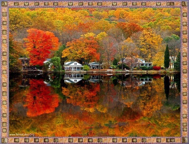 Autumn lake with colorful trees