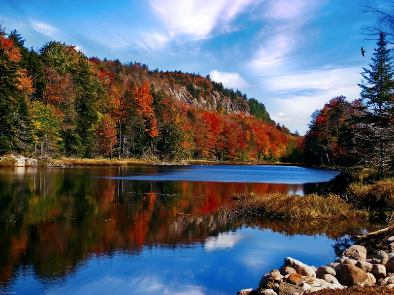 Autumn lake with colorful trees