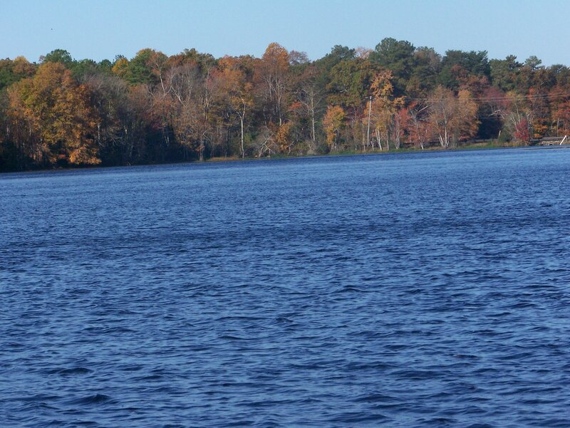 Autumn lake with colorful trees