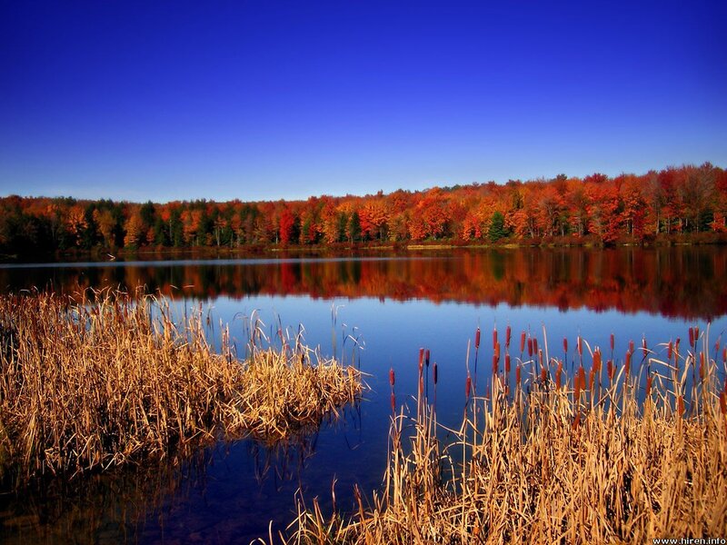 Autumn lake with colorful trees