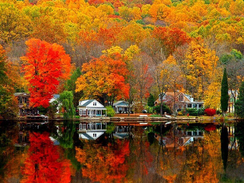 Autumn lake with colorful trees