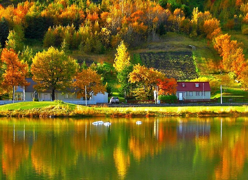 Autumn lake with colorful trees