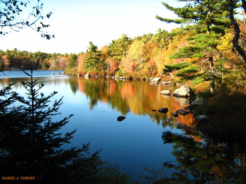 Autumn lake with colorful trees
